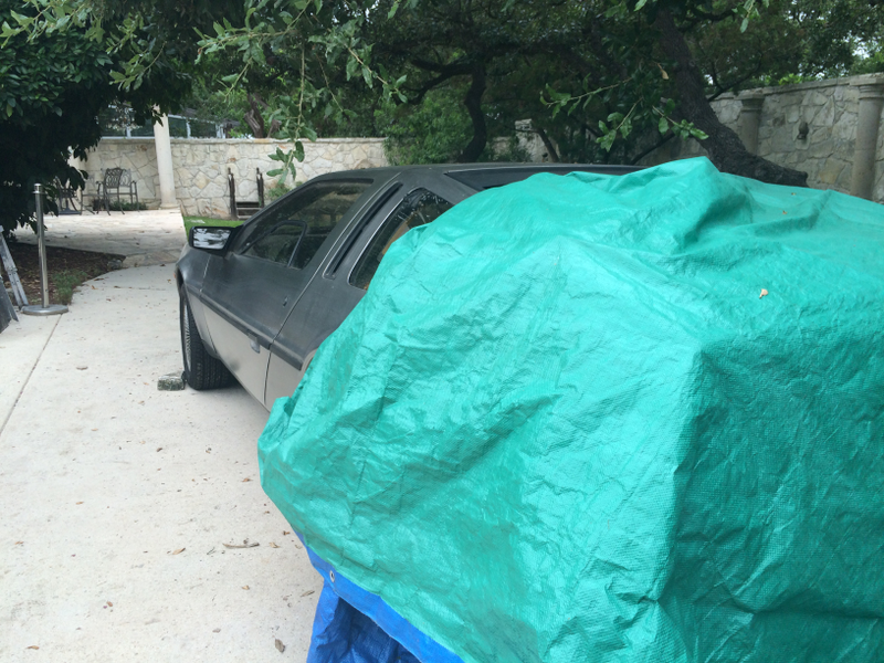 Illustration for article titled A DeLorean Emerges from its Chrysalis